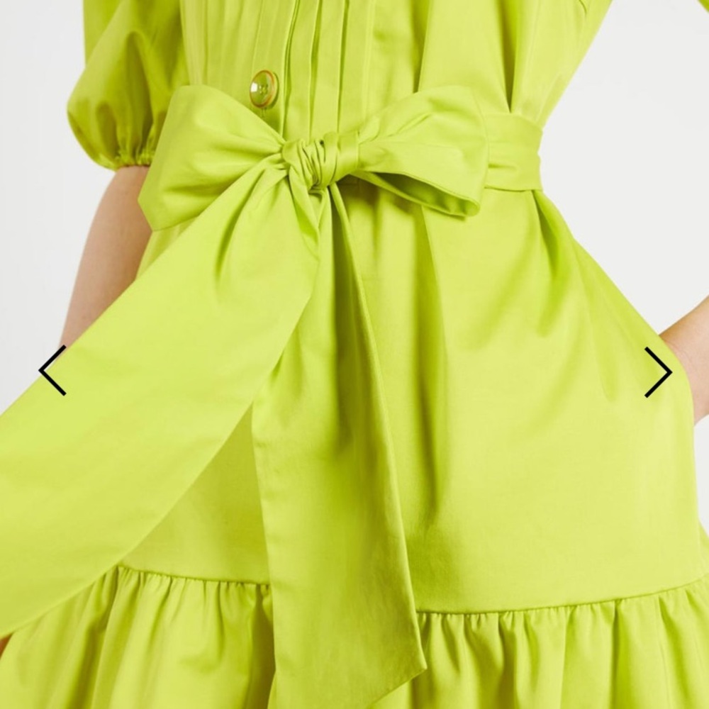 Ted Baker Sofia Ruffle Mini Dress Bright Green Size 4 - Picture 3 of 16